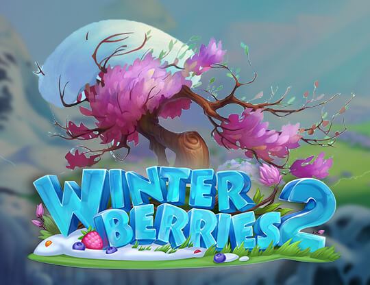 Winter Berries 2